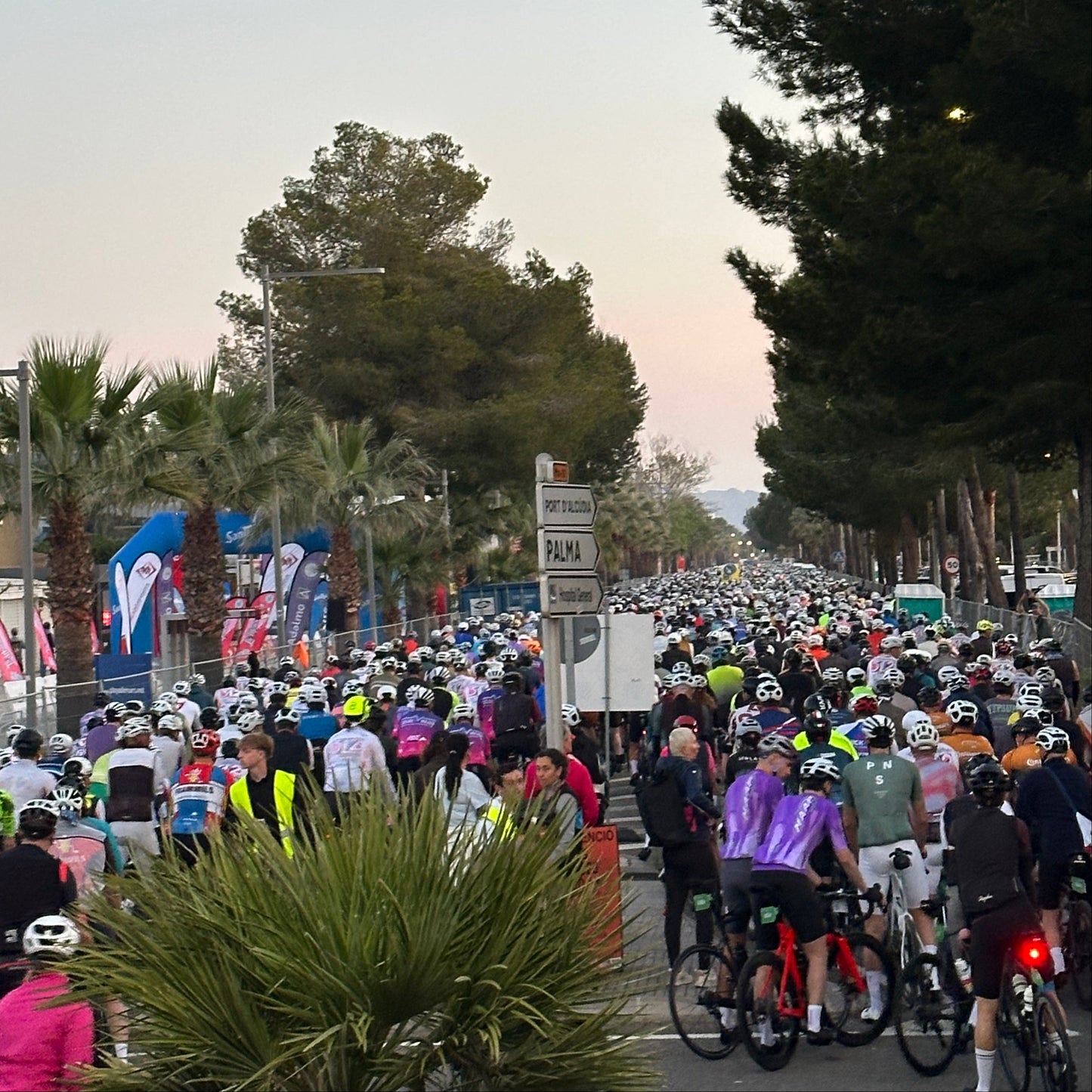 Mallorca 312