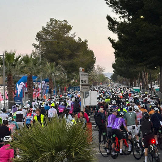Mallorca 312